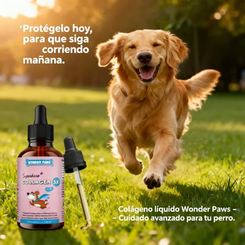 Aumenta las Defensas de tus Mascotas.