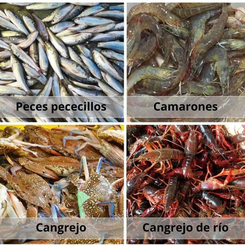 Malla Para Pescar De 12 Huecos - Mas peces en poco tiempo