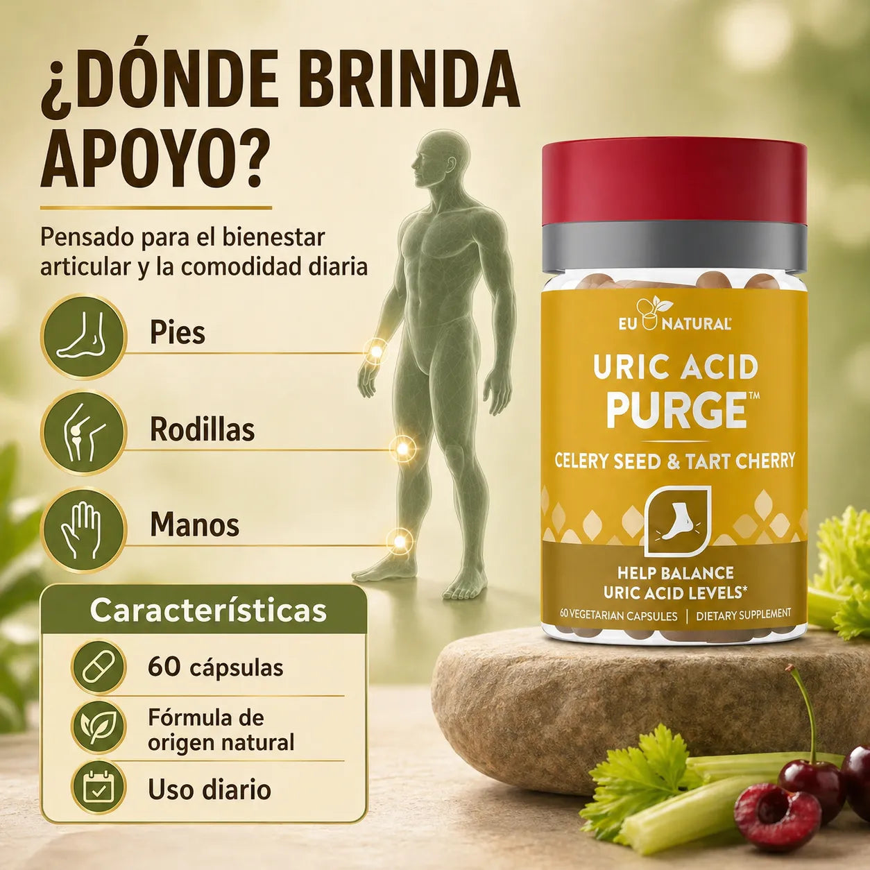 Elimina el exceso de Ácido Úrico y vuelve a caminar sin dolor en menos de 14 días (Sin dietas imposibles ni fármacos agresivos)