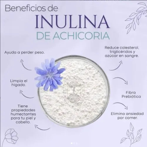 Pierde peso, disminuye el colesterol, triglicéridos y azúcar en sangre con la Anulina de Achicoria