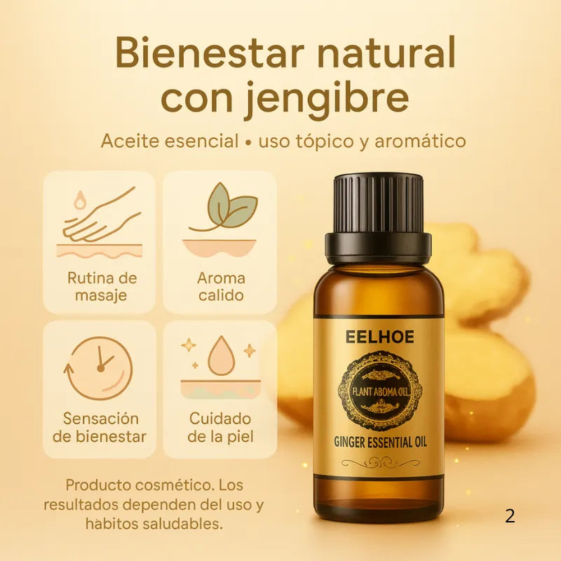 Quema Grasa, Baja de Peso sin ir al Gimasio.