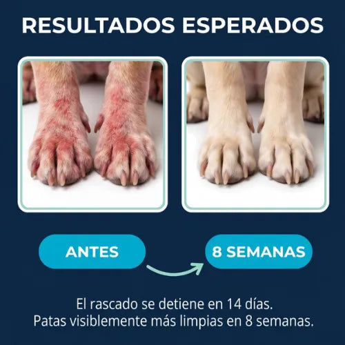 Proshield Pet - Elimina la picazón, los hongos, mal olor y las molestias de tu perro (ORIGINAL + ENVIO GRATIS)