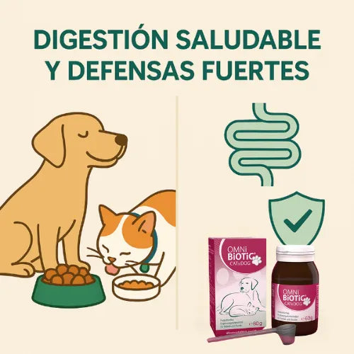 Cuida a tu Mascota con nuestro Suplemento 100% Natural