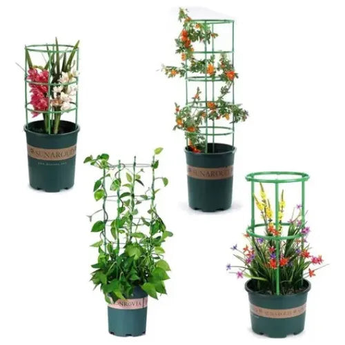 Soporte para plantas (3 Unidades)