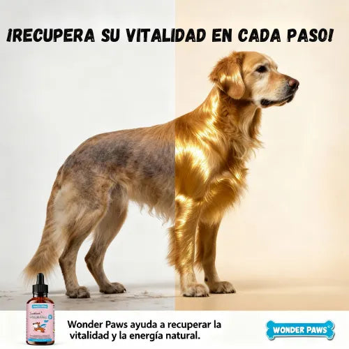 Aumenta las Defensas de tus Mascotas.