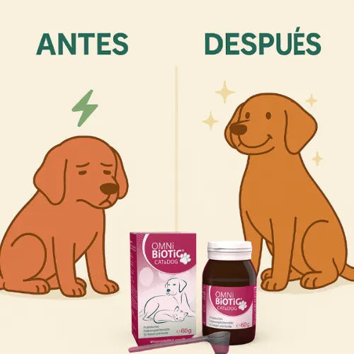 Cuida a tu Mascota con nuestro Suplemento 100% Natural