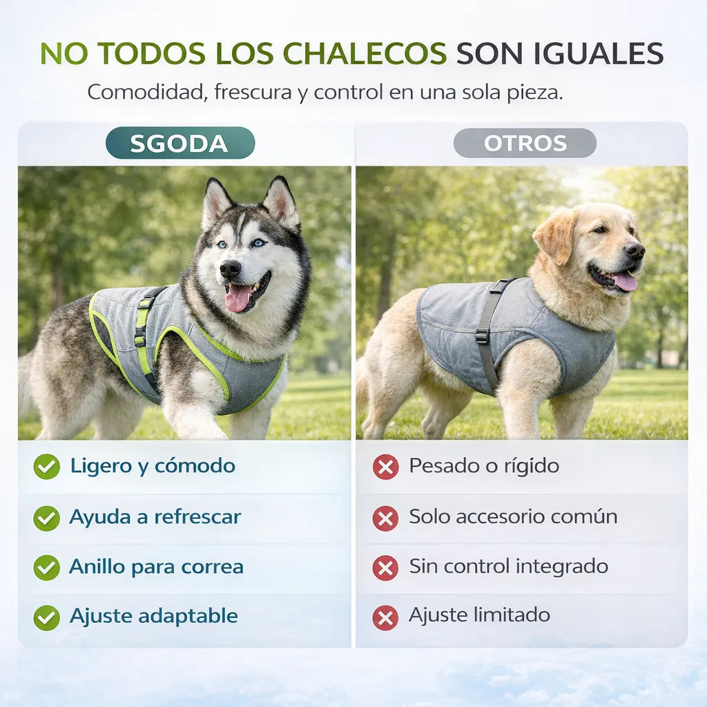 Ayuda a tu perro a mantenerse fresco y cómodo en días calurosos, mientras lo paseas con más control y sin ponerle algo pesado o incómodo