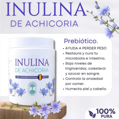 Pierde peso, disminuye el colesterol, triglicéridos y azúcar en sangre con la Anulina de Achicoria