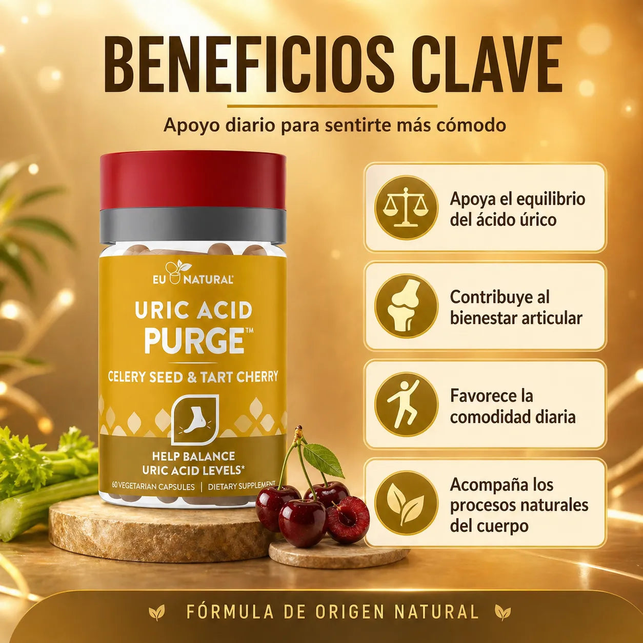 Elimina el exceso de Ácido Úrico y vuelve a caminar sin dolor en menos de 14 días (Sin dietas imposibles ni fármacos agresivos)