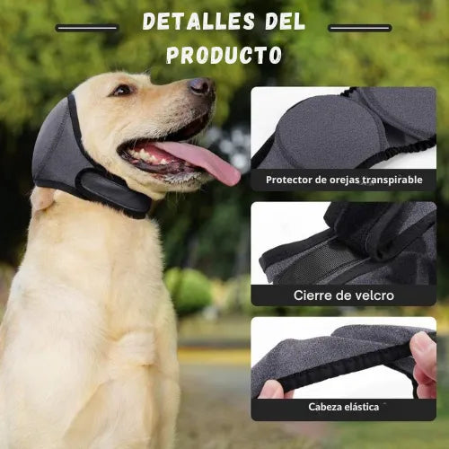 Protege a tu perro contra truenos y fuegos artificiales