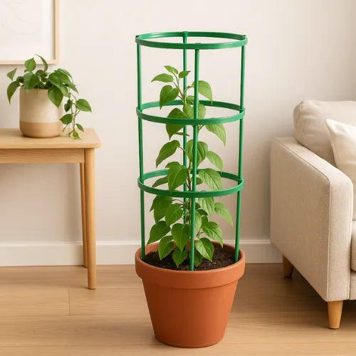 Soporte para plantas (3 Unidades)