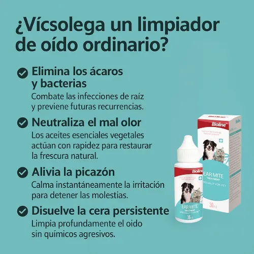 Limpieza en Orejas de Mascotas