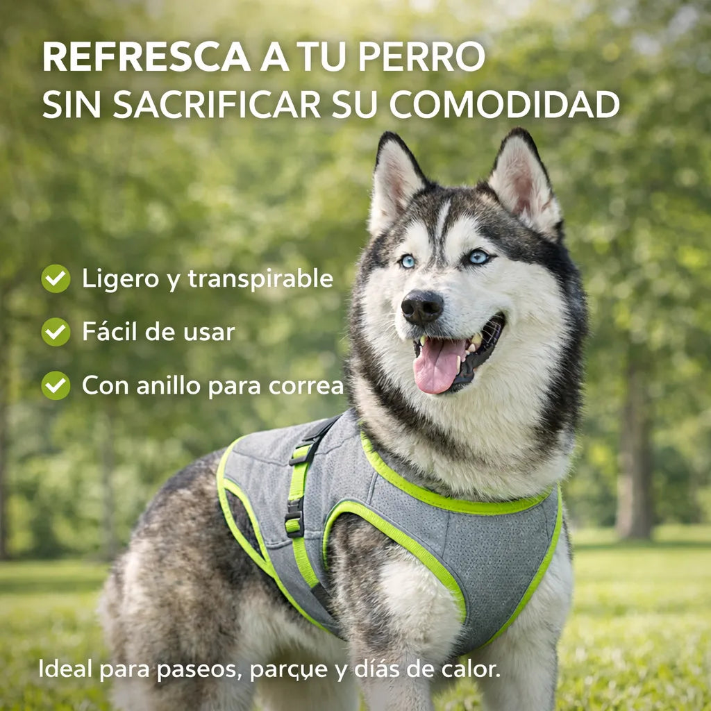 Ayuda a tu perro a mantenerse fresco y cómodo en días calurosos, mientras lo paseas con más control y sin ponerle algo pesado o incómodo