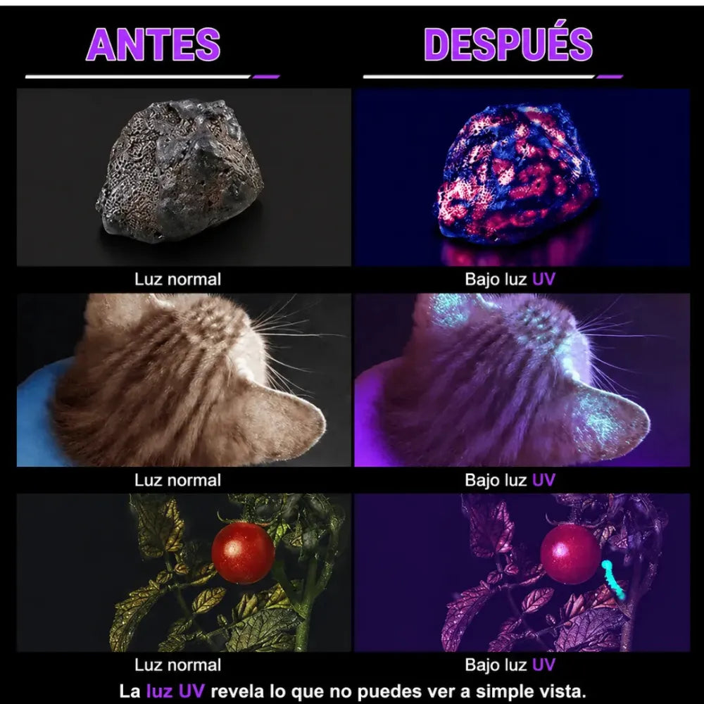 Detecta Fugas de Refrigerante, Aceite en Segundos: La Herramienta que Toda Persona Necesita para No Perder Dinero en Diagnósticos Incorrectos.