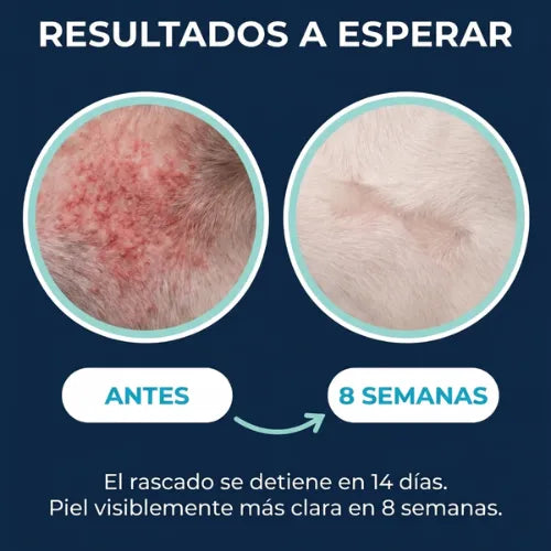 Proshield Pet - Elimina la picazón, los hongos, mal olor y las molestias de tu perro (ORIGINAL + ENVIO GRATIS)
