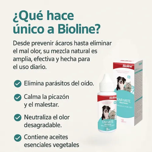 Limpieza en Orejas de Mascotas