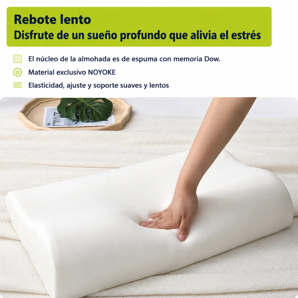 Despierta sin dolor y vuelve a disfrutar un descanso reparador