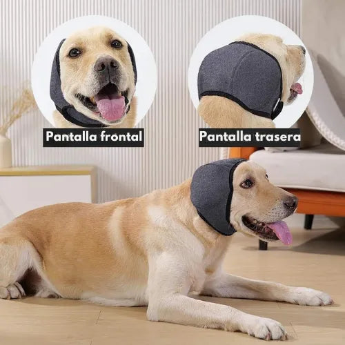 Protege a tu perro contra truenos y fuegos artificiales