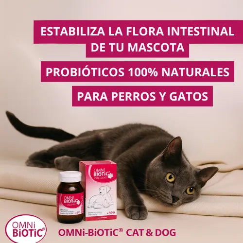 Cuida a tu Mascota con nuestro Suplemento 100% Natural