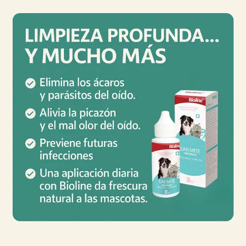 Limpieza en Orejas de Mascotas