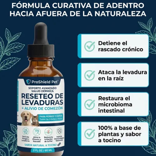 Proshield Pet - Elimina la picazón, los hongos, mal olor y las molestias de tu perro (ORIGINAL + ENVIO GRATIS)