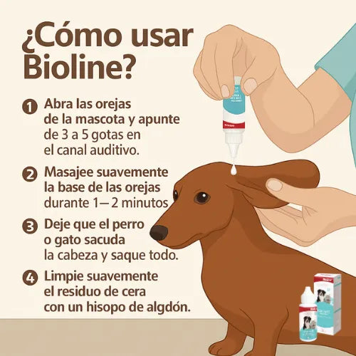 Limpieza en Orejas de Mascotas