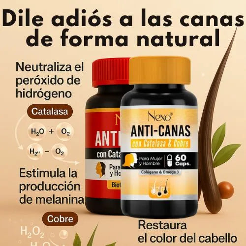 Desaparece las canas desde la raíz