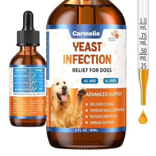 Alivio natural para la picazón y las molestias de tu perro