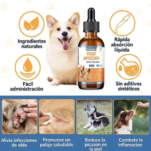 Alivio natural para la picazón y las molestias de tu perro