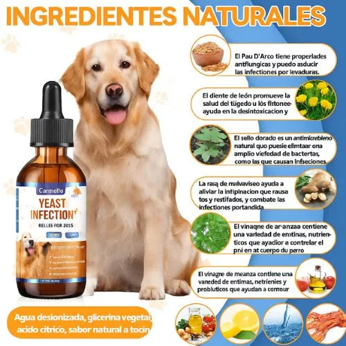 Alivio natural para la picazón y las molestias de tu perro