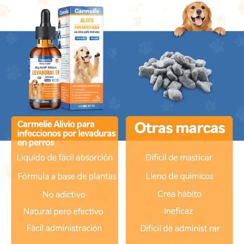 Alivio natural para la picazón y las molestias de tu perro